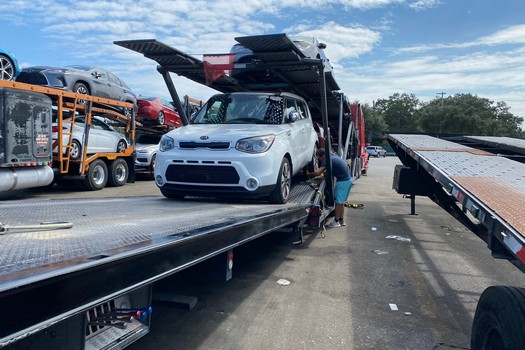 Vehicle Transport-in-Ocoee-Florida